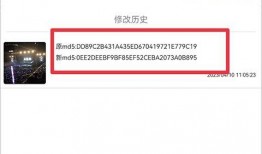 成功爆料的视频素材下载,成功爆料素材背后的故事